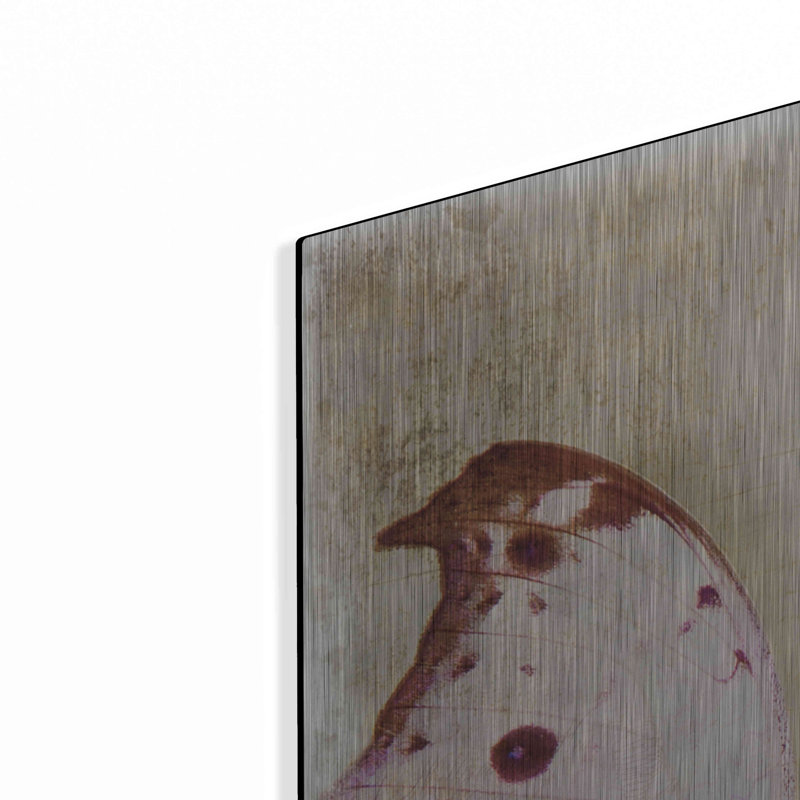 «Floating Butterfly II» par Debra Van Swearingen, H 36 po x l 36 po