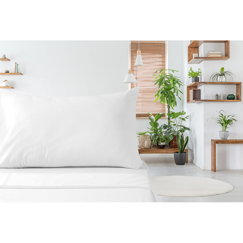 Percale Fitted Sheet, Kingsize (5')