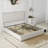 Upholstered Platform Storage Bed Frame With Galaxy Projector, 4 Dustproof Storage Drawers, Adjustable Vintage Nailhead Trim Headboard-321038625-332218036