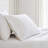 Martha Stewart Lilly Pond Leaf Embroidered Cotton Sheet Set-119136812-119136817
