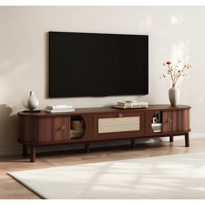 Meuble télé 67 po avec porte en bambou et tiroir en rotin