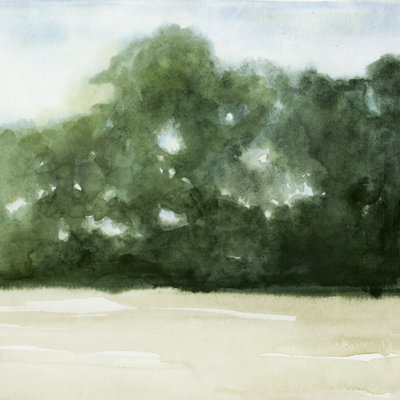 Loose Landscape II by Grace Popp - Wrapped Canvas Painting