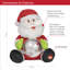 Christmas Stuffed Holiday Accent