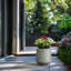 Grand pot à fleurs Brenno-279391858-293152732