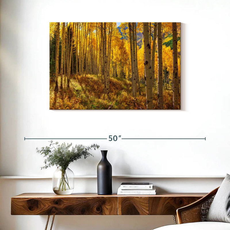Autumn Aspen Forest, Colorado, États-Unis, H 24 po x l 36 po