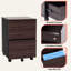 Tim 18.7'' Wide 2 -Drawer Mobile File Cabinet-1053714559