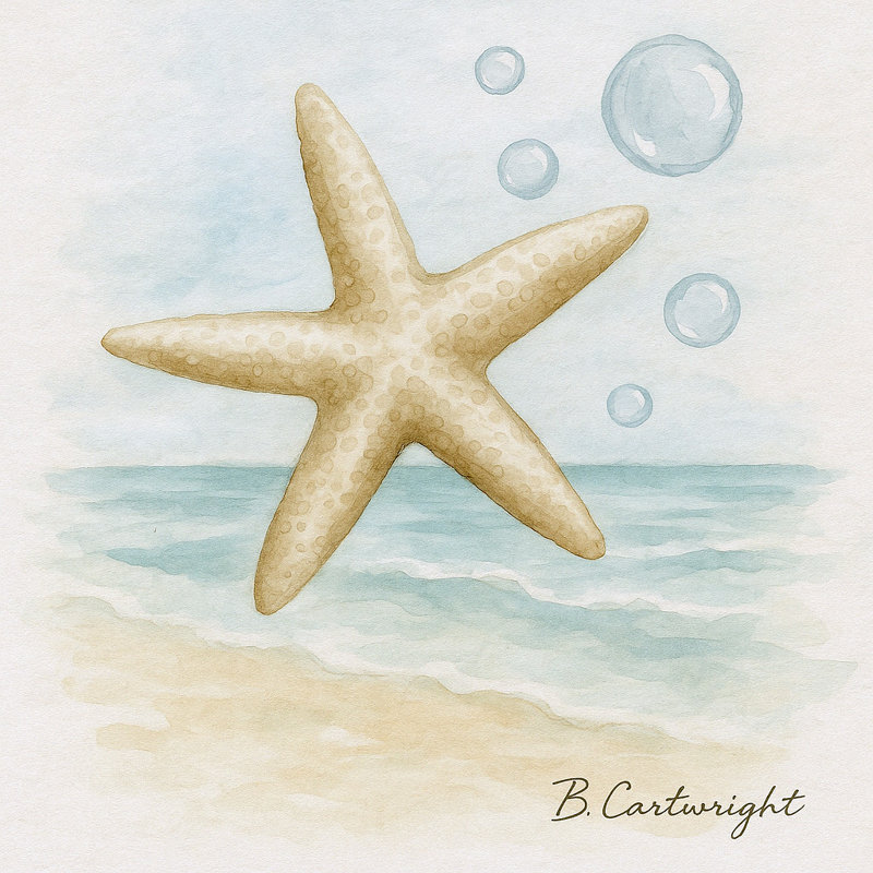 «Sandy Shore Starfish», art mural sur toile tendue, H 20 po x l 20 po