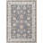 Guerin Oriental Wool Rug-92488751