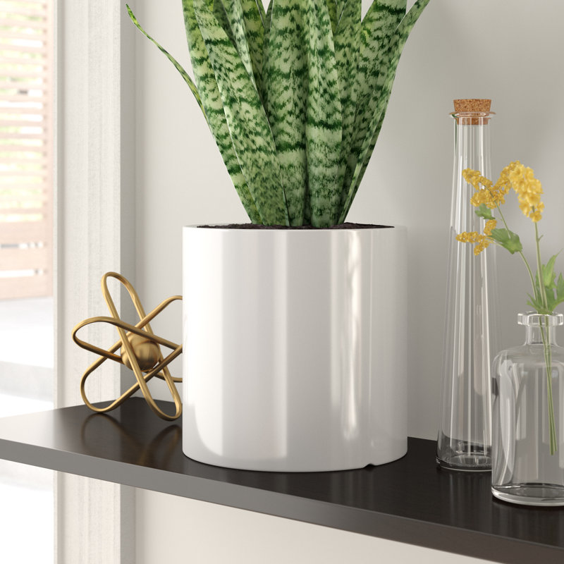 Pot à fleur en céramique Alida, H 8 po x l 8 po x p 8 po, Blanc