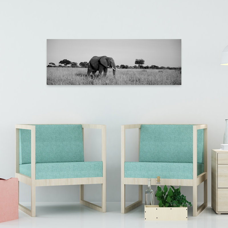 Elephant Tarangire Tanzania Africa by Todd Gustafson - Wrapped Canvas Panoramic Print, 40.64 cm H x 121.92 cm W