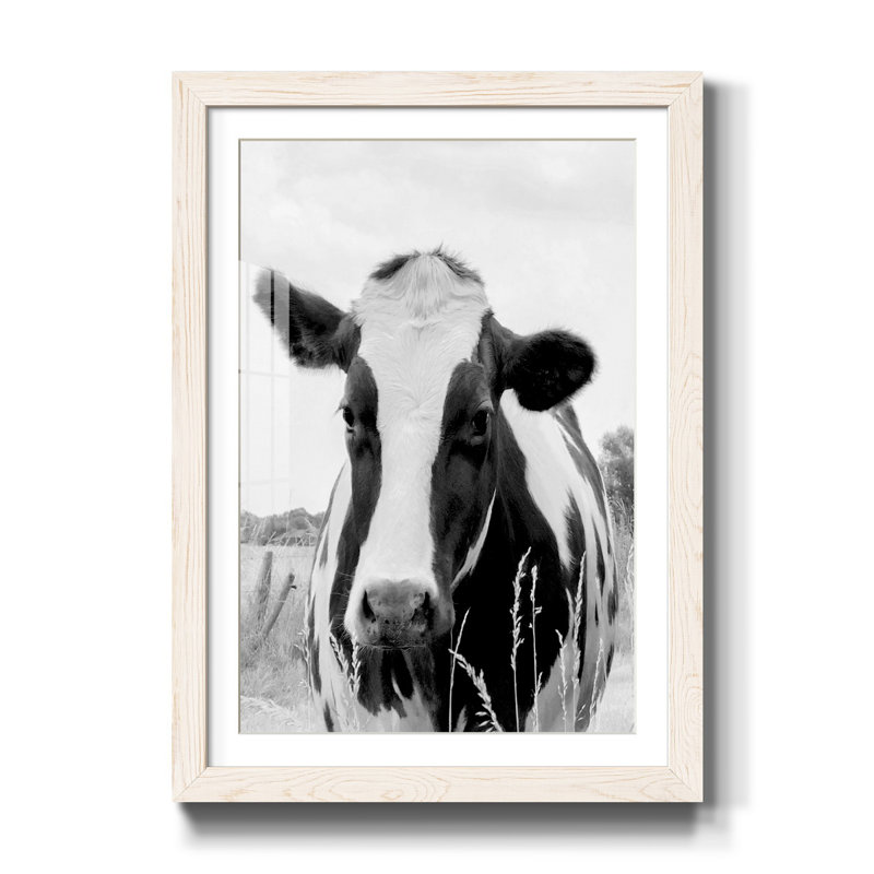 On the pasture - Reproduction de photo sur papier encadrée, Blanc, H 37,5 po x l 27,5 po x P 1,5 po