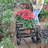 Wagon Cart Garden Cart