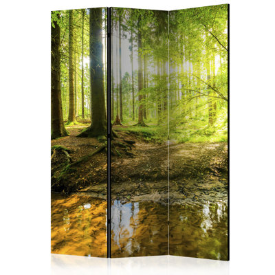 135cm W x 172cm H 3 - Panel One Sided Room Divider Folding Room Divider