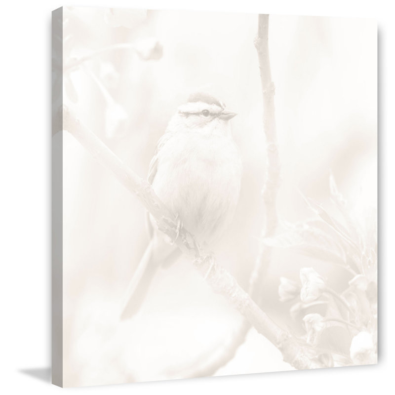 " Little Bird " by Marmont Hill, 48" H x 48" W x 1.5” D