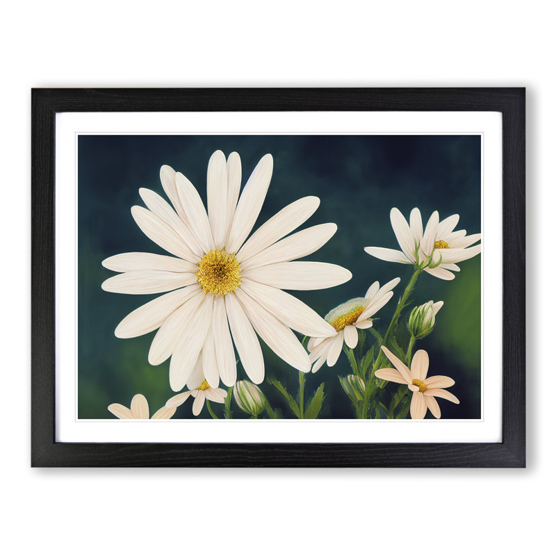 Illuminating Daisy Flowers - Single Picture Frame Print, 46cm H x 64cm W, Black
