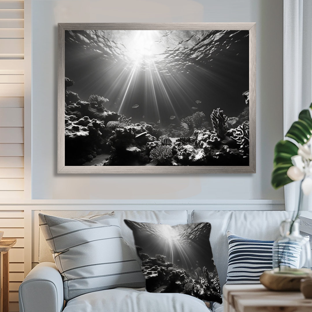 Black And White Coral Underwater Photo - Coastal Coral Under Water Wall Art Highland Dunes