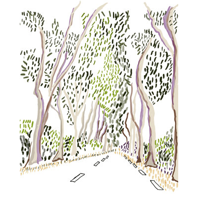 " Bark " by Deborah Blum