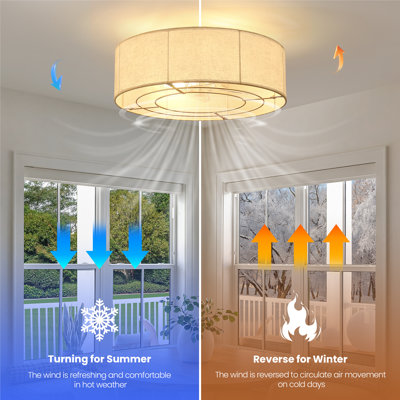 Modern 20-Inch Ceiling Fan With Light