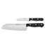 WÜSTHOF Gourmet 2-Piece Asian Chef's Set