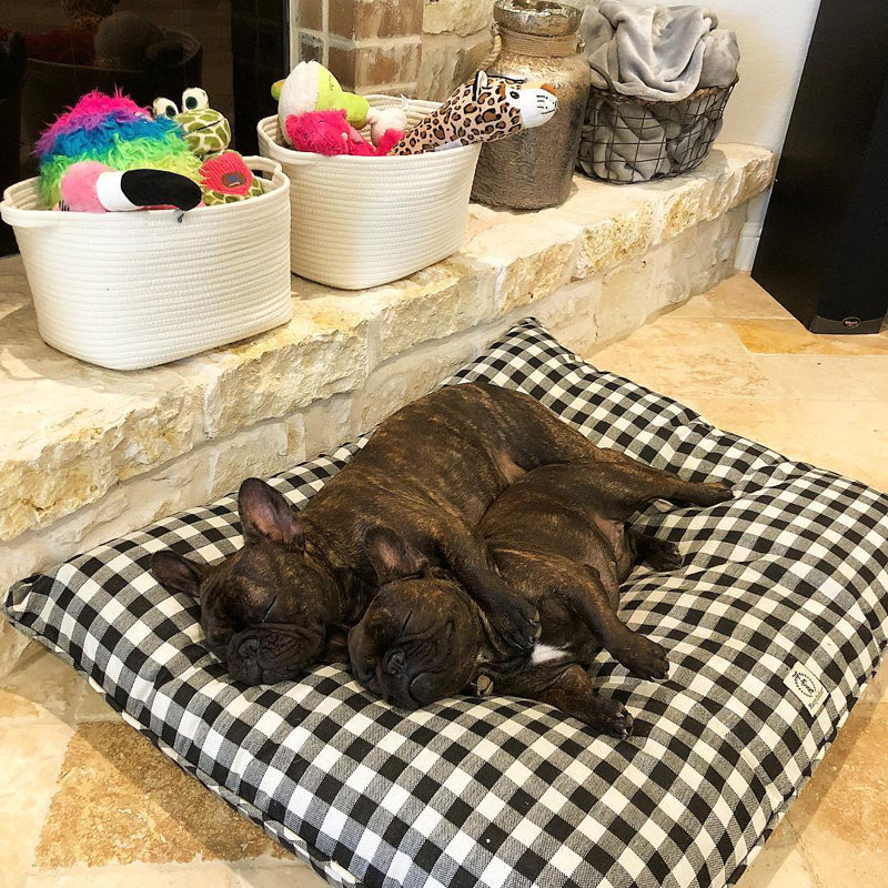 Checkered Polyester Pet Bed, Medium (36" W x 26" D x 2" H), Red