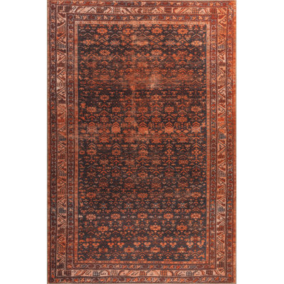 Caretta Chenille Oriental Indoor / Outdoor Rug