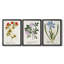 Nature imprimé Botanicals VIII - Toile tendue avec châssis sur mesure - 3 pièces-648272998-648272997