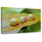 Cuban Snails-108841735