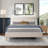 Ostromecky Boucle Platform Bed -825879458-817338802