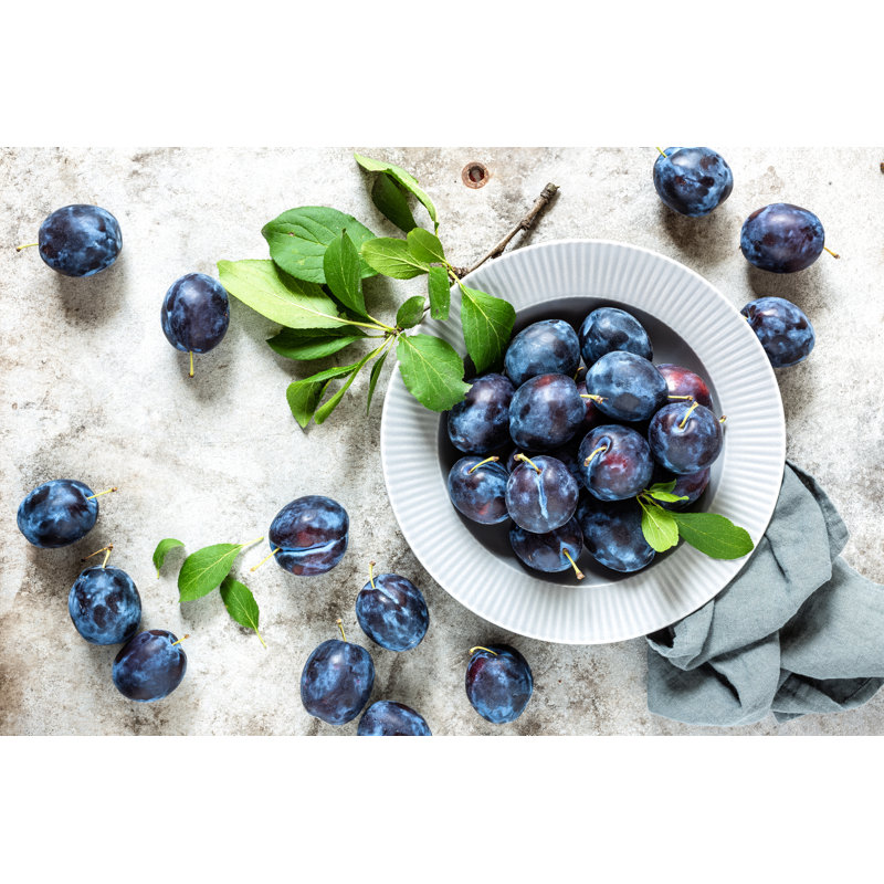 Plums by YelenaYemchuk - Wrapped Canvas Print, 20cm H x 30cm W x 3.8cm D