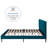 Moniz Upholstered Platform Bed-2107703917-2107703913
