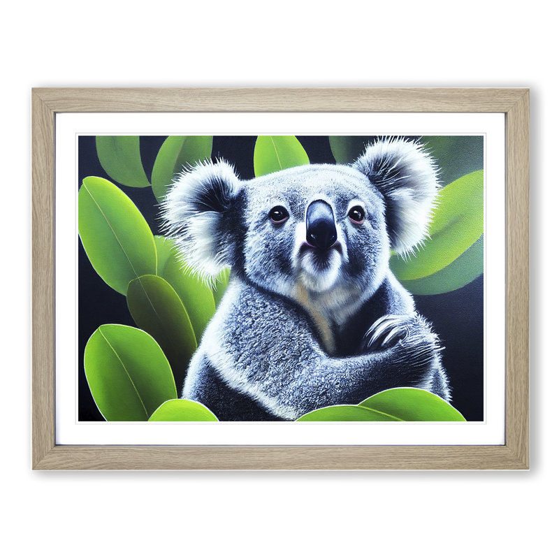 Koala Bear - Single Picture Frame Print, 25cm H x 34cm W x 2cm D, Oak