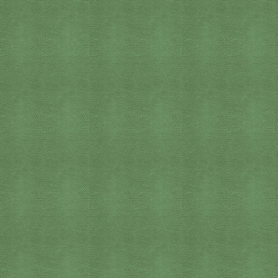 Vela Fabric