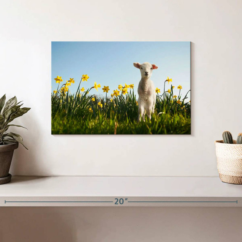 Brampt Springtime Lamb, 8" H x 12" W