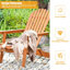 Itasca Outdoor Adirondack Chair