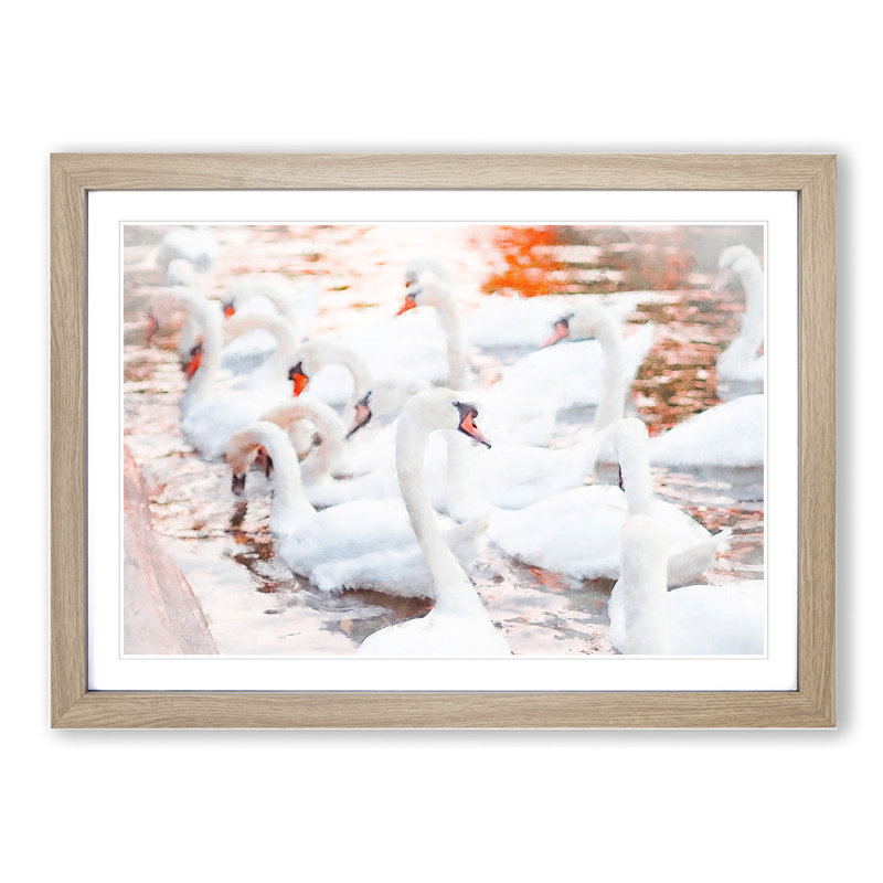 White Swans - Picture Frame Painting, 27cm H x 36cm W x 2cm D, Oak Framed