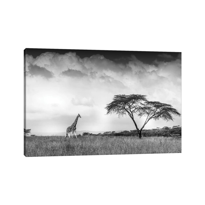 And I Dreamed Of Africa by Jeffrey C. Sink - Wrapped Canvas Print, 30.48cm H x 45.72cm W x 1.91cm D