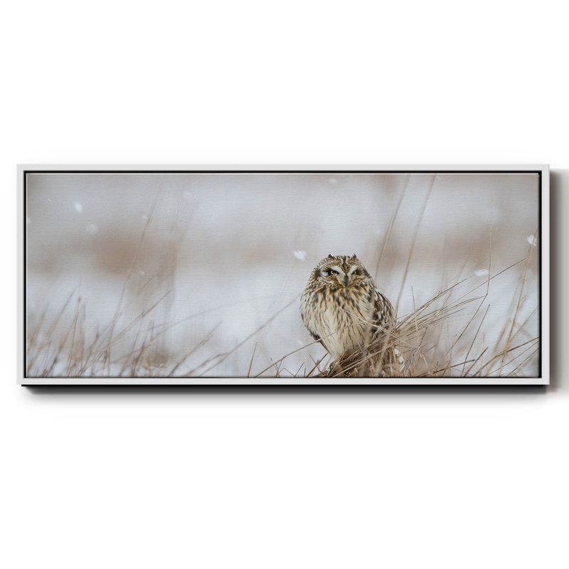 Prairie Winter- Framed Canvas, 24" H x 60" W