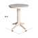 Foxburg Counter Height Solid Wood Dining Table