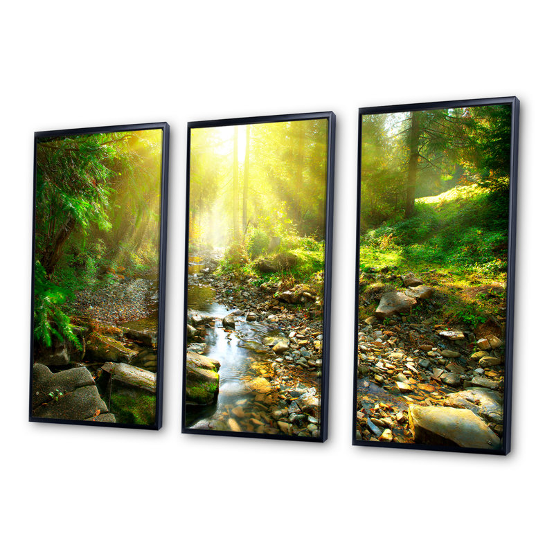 Mountain Stream In Forest - 3 pièces, photographie sur toile à cadre flottant, Noir, H 28 po x l 36 po