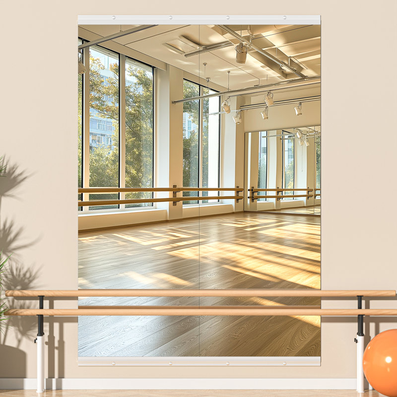 Full Length Rectangle Wall Mirror Home Gym Mirror Dance Studio Mirror with Tempered Glass, 71" x 32", Sliver