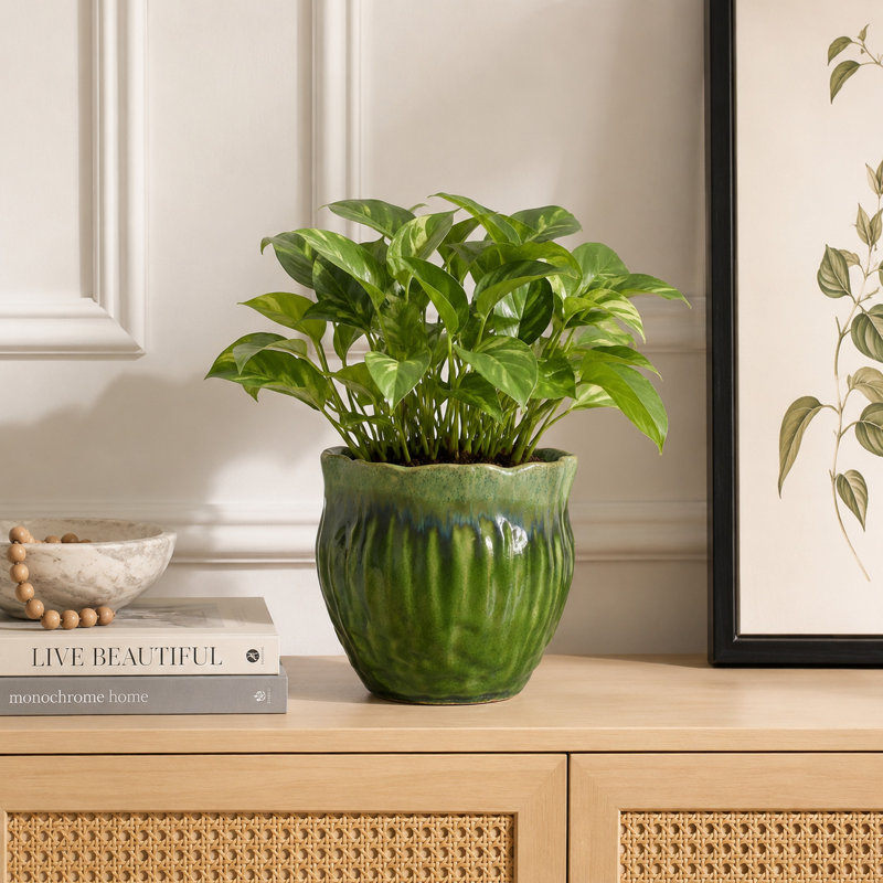 Pot à fleurs décoratif Ashly avec bordure festonnée, céramique texturée verte 8 pouces