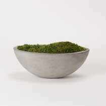 Mood Moss 5.5 Ball Faux – HOME DECORATIVE ACCENTS