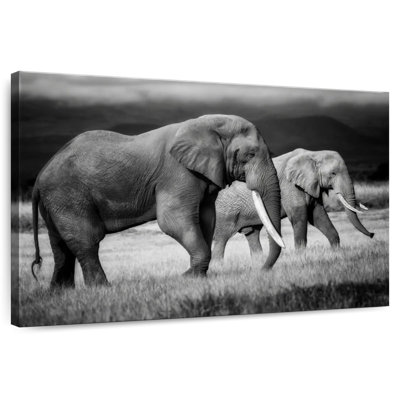 Grazing Kenyan Elephants