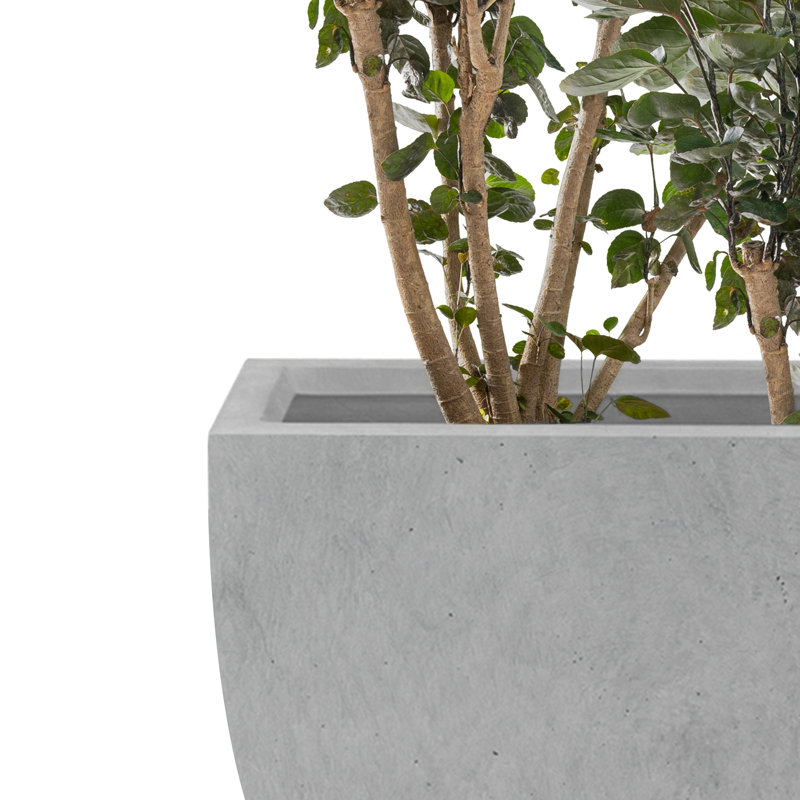 Pot à fleurs en béton