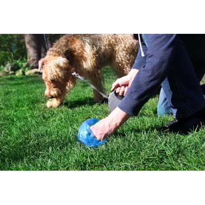 Man  Picking Up / Cleaning Up Dog Droppings