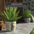 Navua Ceramic Cachepot-509138422