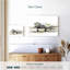 Mehar DC3 avion-107852742