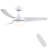 Small-CF 42'' Ceiling Fan with LED Lights-1231769032