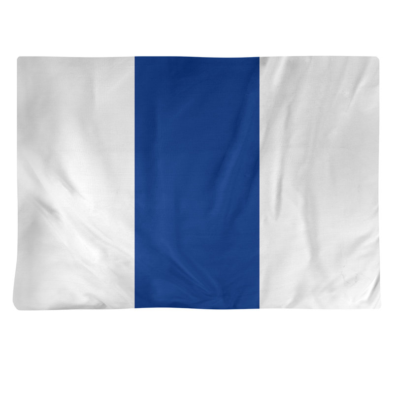 Récapitulatif en coton 18" retour football Seattle, Blanc / Bleu