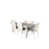 White/Taupe is out of stock selected